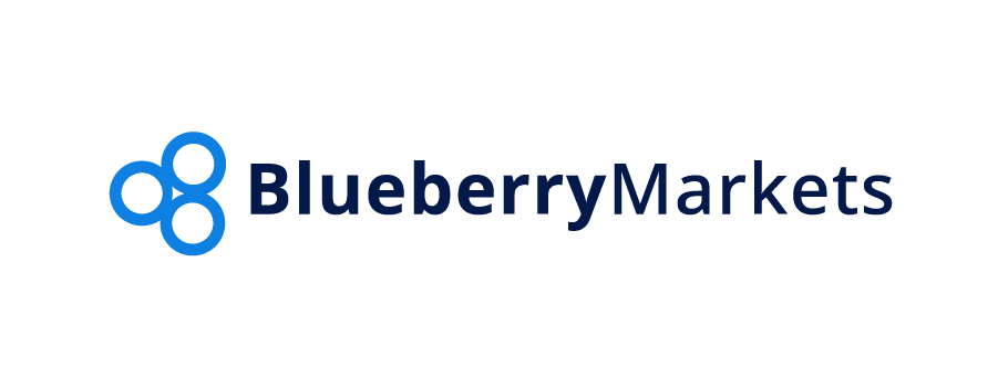 Blueberry Markets Creates Its CX Team Mid-Pandemic